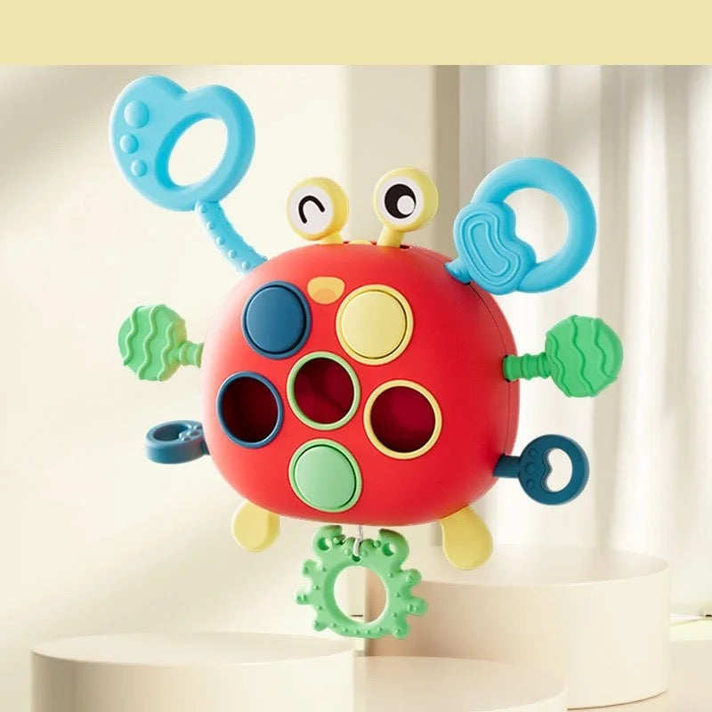 Montessori Crab