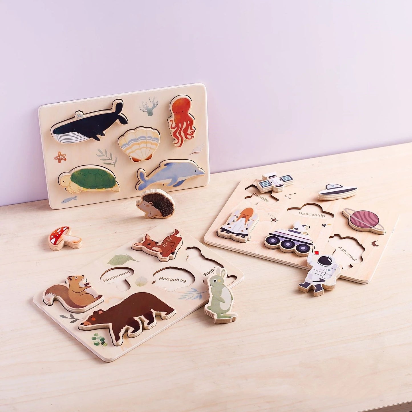 World Shape Puzzles