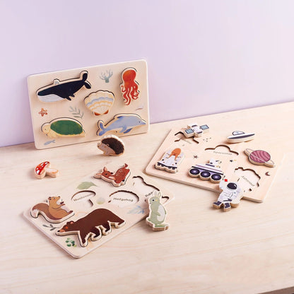 World Shape Puzzles
