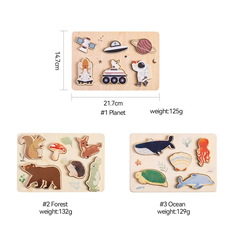 World Shape Puzzles