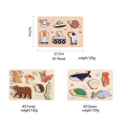 World Shape Puzzles