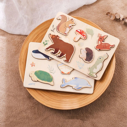 World Shape Puzzles